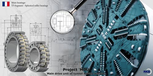 Project "MDU"