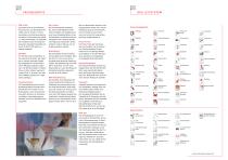 DER KATALOG-4