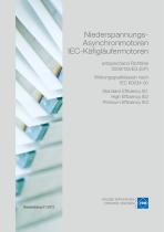 Niederspannungs-Asynchronmotoren IEC Käfigläufermotoren - 1