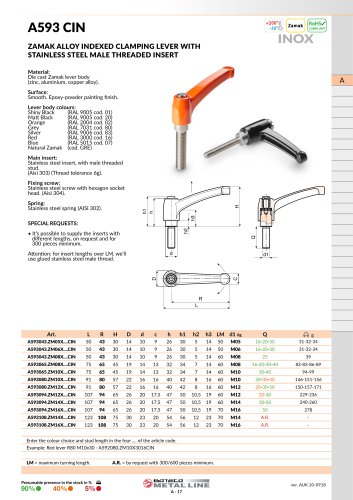 A593CIN