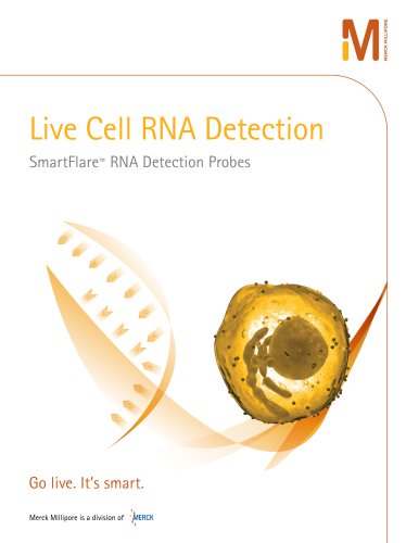 Live Cell RNA Detection