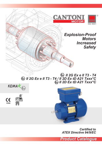 Explosion-Proof Motors Increased Safety