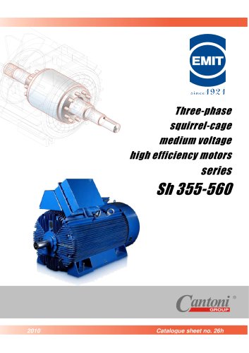 High Voltage High Efficiency Motors