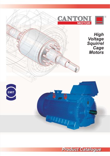 High Voltage Squirrel Cage Motors