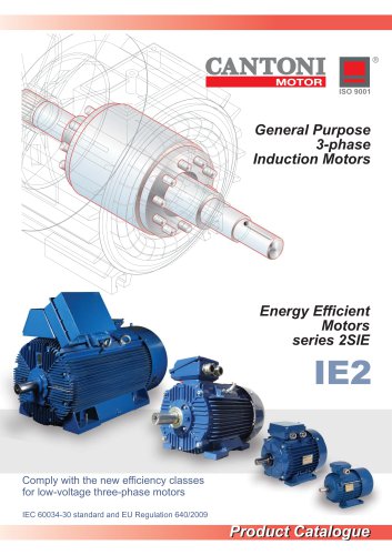 IE2 3-phase motors - 2SIE series - Energy Efficient Motors