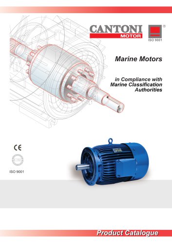 Marine Motors