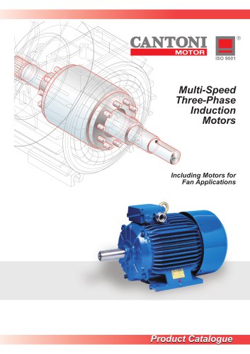 Multi-Speed Three-Phase Induction Motors