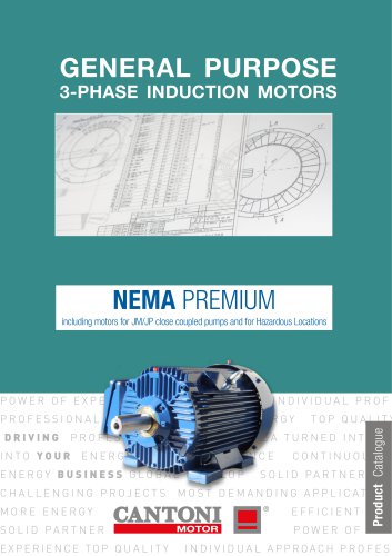 NEMA Premium Efficiency Motors SIE series