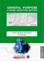 SUPER PREMIUM EFFICIENCY IE4 MOTORS