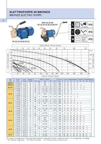 BRONZE ELECTRIC PUMPS