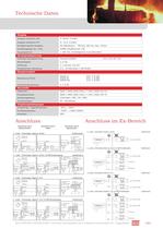 Temperaturmesstechnik Prospekt - 13