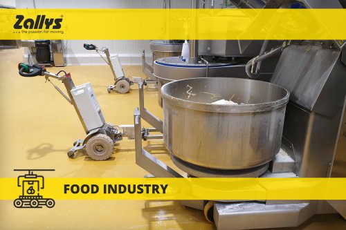 Food industry