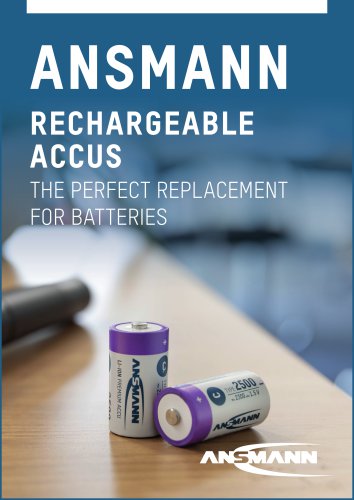 RECHARGEABLE ACCUS