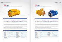 EXPLOSION PROOF THREE-PHASE ASYNCHRONOUS MOTOR FOR TUNNELING MACHINE  YBUD SERIES
