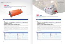 VARIABLE FREQUENCY SPEED REGULATION THREE-PHASE ASYNCHRONOUS MOTOR (SELF COOLING)  YBRB SERIES