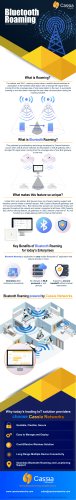 Bluetooth Roaming Technology