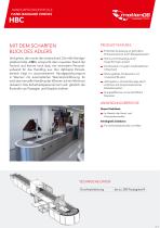 HAND BAGGAGE CHECKS HBC