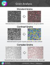 Grains Analysis