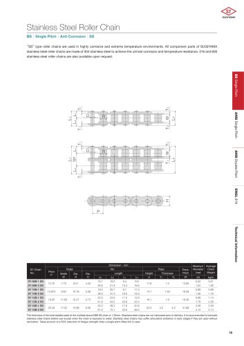 Stainless Steel Roller Chain SS