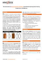 Mirmex Motor Brochure