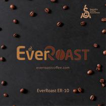 EverRoast ER-10