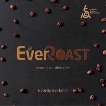 EverRoast ER-3