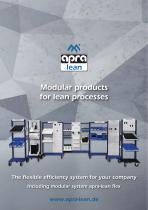 Modular products  for lean processes