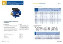 IEC Motors - Single Phase Motors