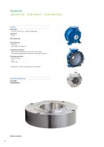 Kreiselpumpe mit Keramik-Auskleidung und Doppel-Gleitringdichtung-6
