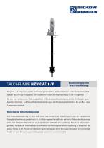 TAUCHPUMPE MEHRSTUFIG HZV + SONDERAUSFÜHRUNG FÜR ZONE 0-5