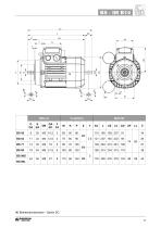 BS Asynchrone einphasige Motoren - 15