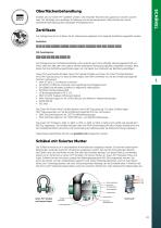 Schäkel - 2