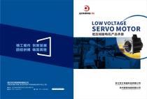 Servo Motor 24v 48v