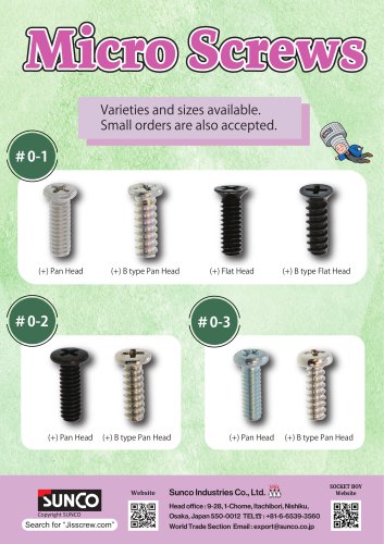 Micro Screw