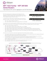 NPT 1022 Family – NPT AR1000 Series Routers