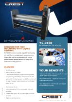 Crest Datasheet TS-2100 Silicone