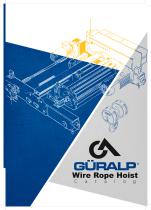 Wire rope hoist