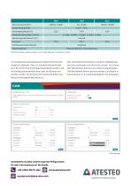 Flyer DF-Familie-3