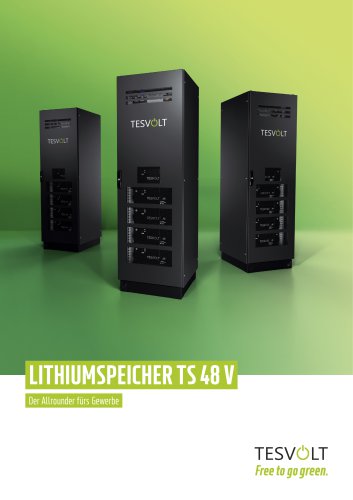 TS 48 V