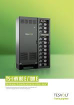 TS-I HV 80/100 E-1
