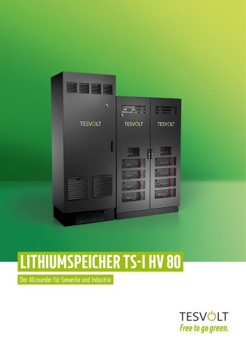 TS-I HV 80