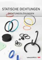 Statische Dichtungen - Dichtungslösungen
