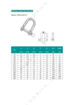 Stainless Steel Shackle