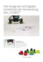 piCOBOT® - 6