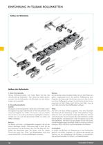 Tsubaki Spezialketten - 12