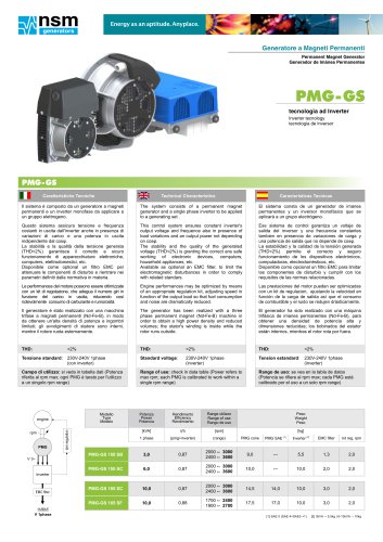 PMG-GS