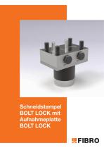 BOLT LOCK SYSTEM-1