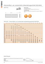 Geschliffene Platten und Leisten - 11