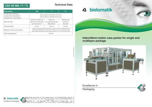 Intermittent motion case packer for single and multilayer package