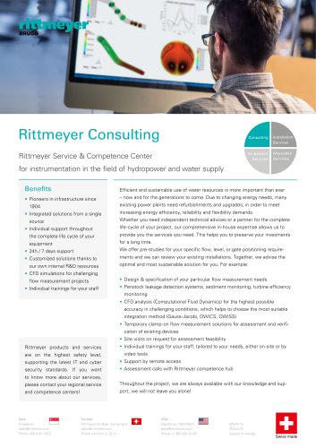 Rittmeyer Consulting